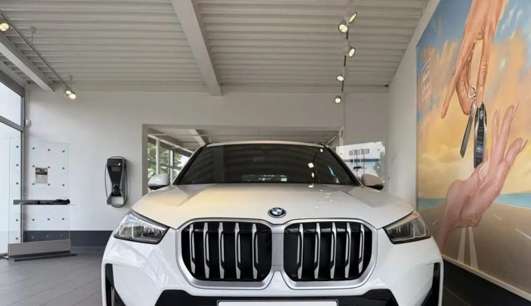 BMW X1 xDrive25e M Sport - photo 11