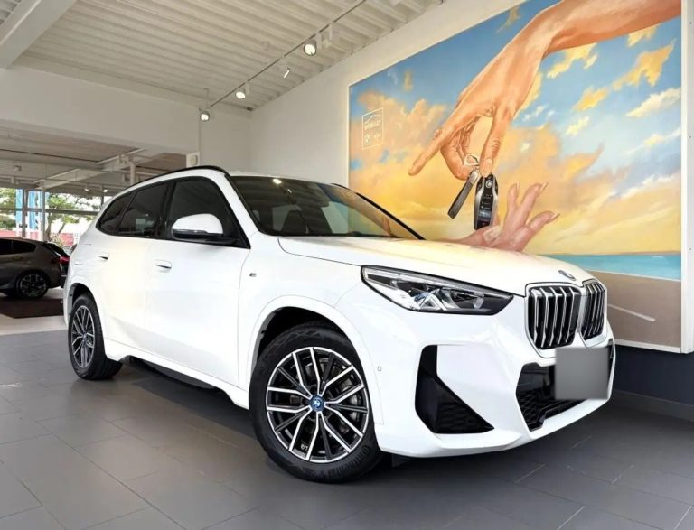 BMW X1 xDrive25e M Sport - photo 2