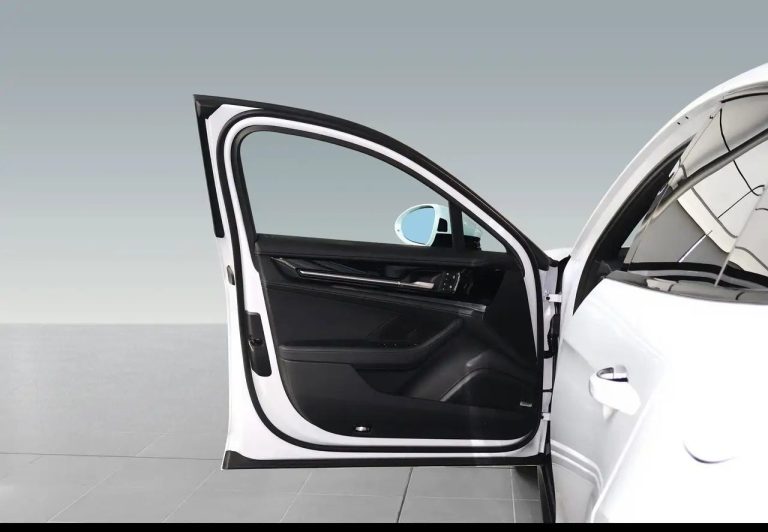 Porsche Panamera 4 E-Hybrid - photo 8