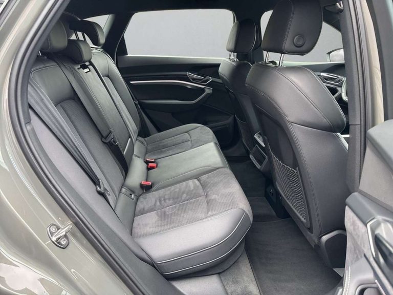 Audi Q8 e-tron 50 quattro Advanced - photo 10