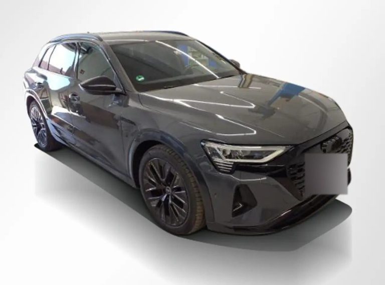 Audi Q8 e-tron 50 quattro S line - photo 10
