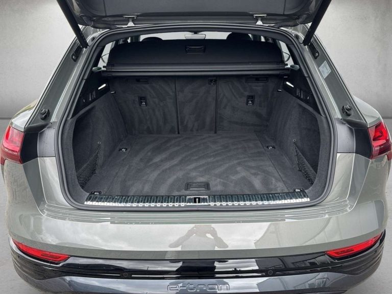 Audi Q8 e-tron 50 quattro Advanced - photo 12
