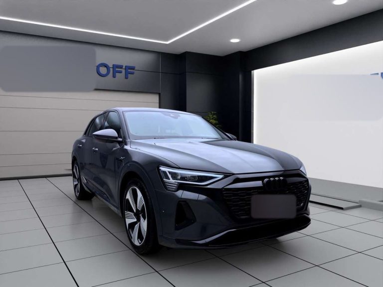 Audi Q8 e-tron 50 quattro S line - photo 5