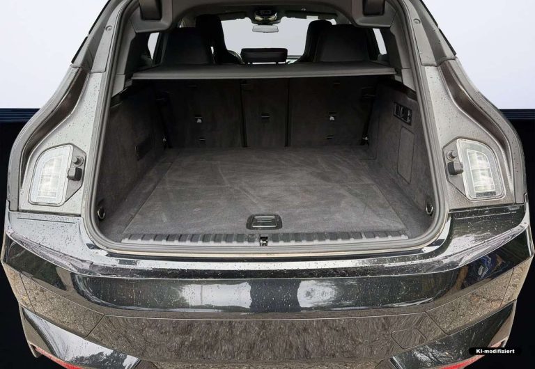 BMW iX xDrive40 Sport - photo 12