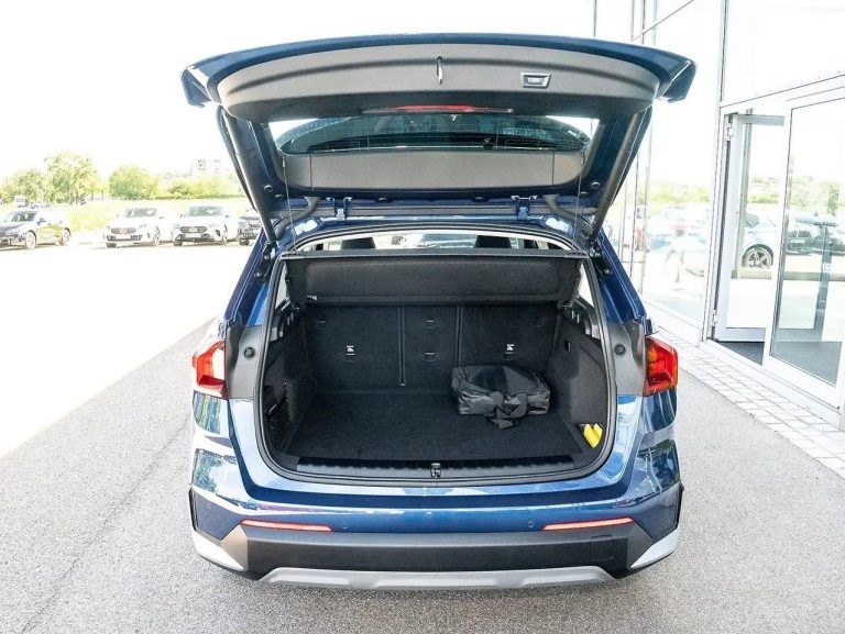 BMW X1 xDrive30e - photo 17
