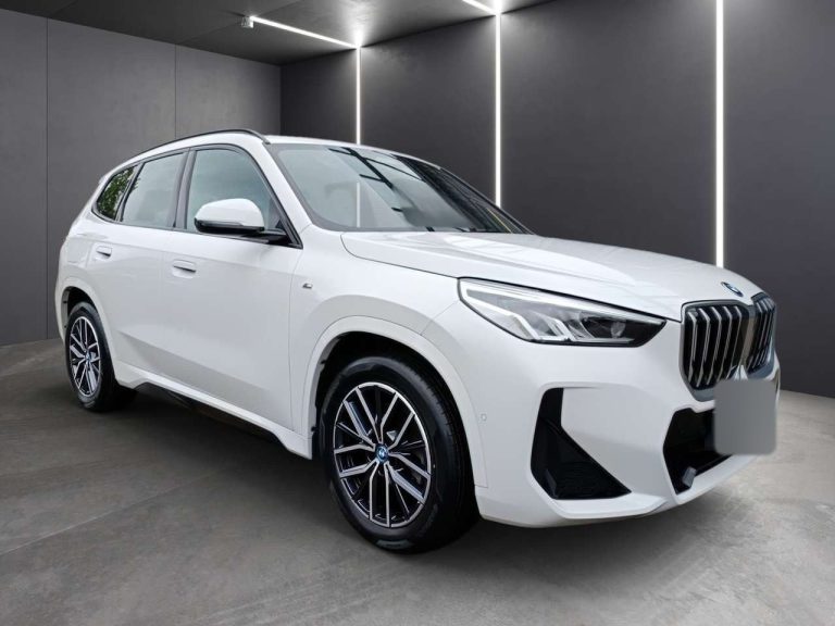 BMW X1 xDrive30e M Sport