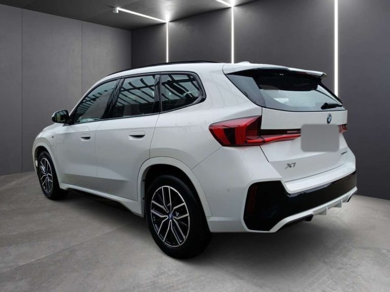 BMW X1 xDrive30e M Sport - photo 2