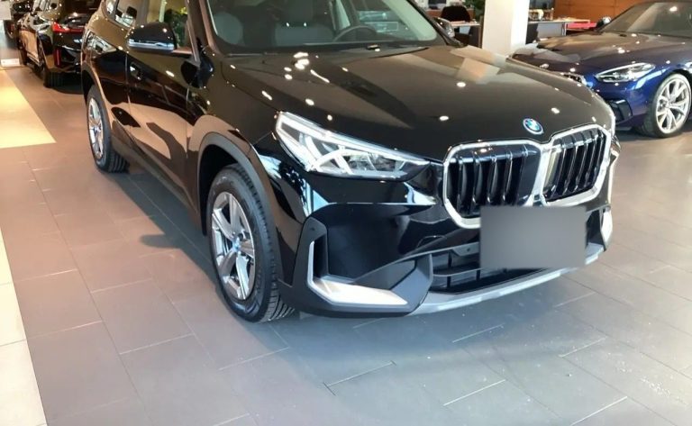 BMW X1 xDrive25e - photo 6