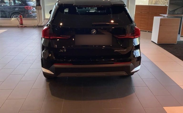 BMW X1 xDrive25e - photo 8