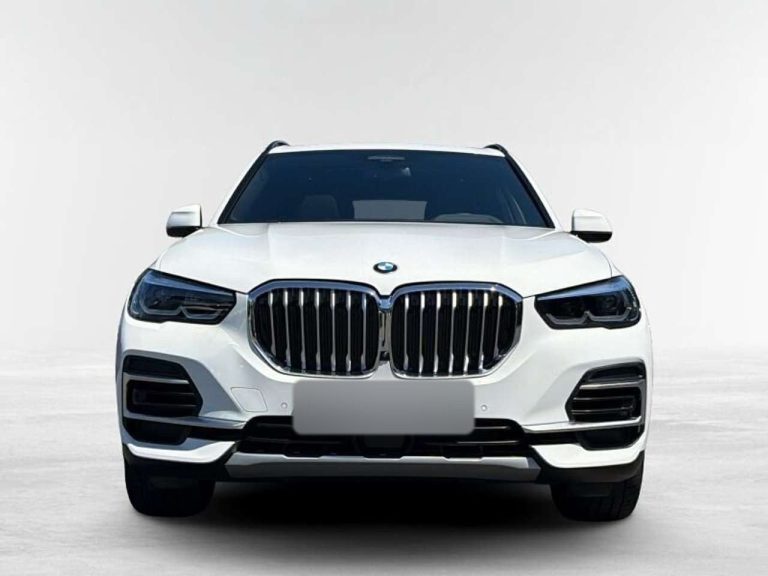 BMW X5 xDrive40d xLine - photo 5