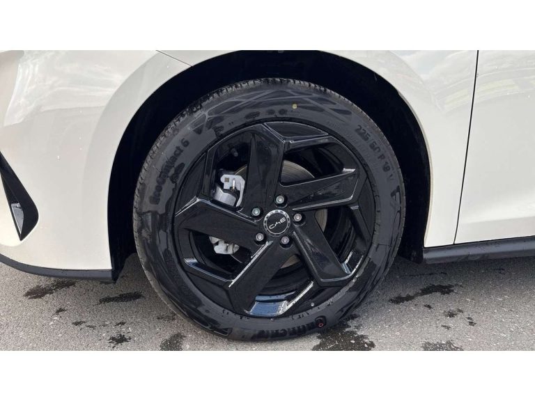 BYD Seal 6 DM-i Touring Comfort - photo 13