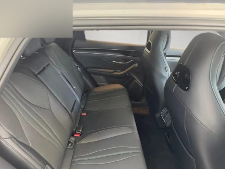 BYD Seal U DM-i Comfort+ - photo 12