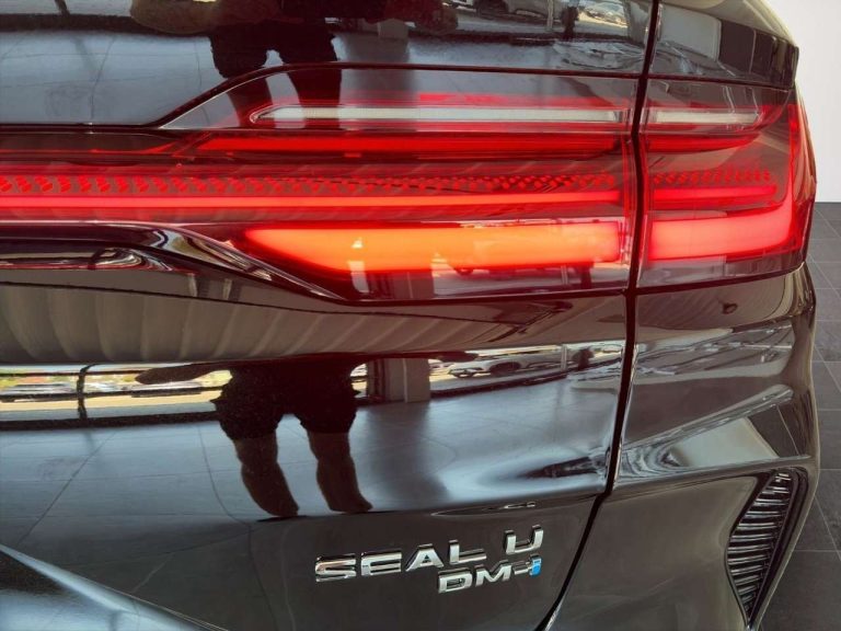 BYD Seal U DM-i Design AWD - photo 14