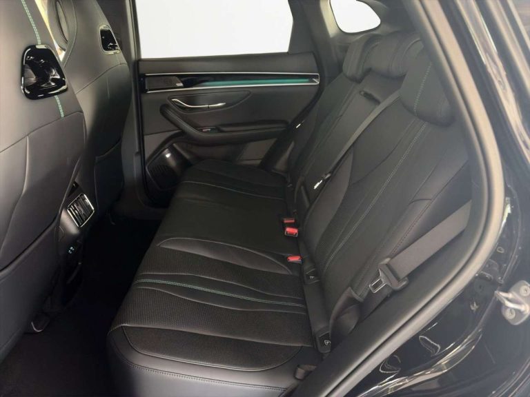 BYD Seal U DM-i Design AWD - photo 9