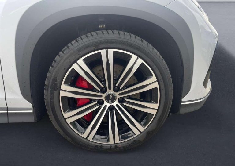 BYD Sealion 7 Design AWD - photo 5