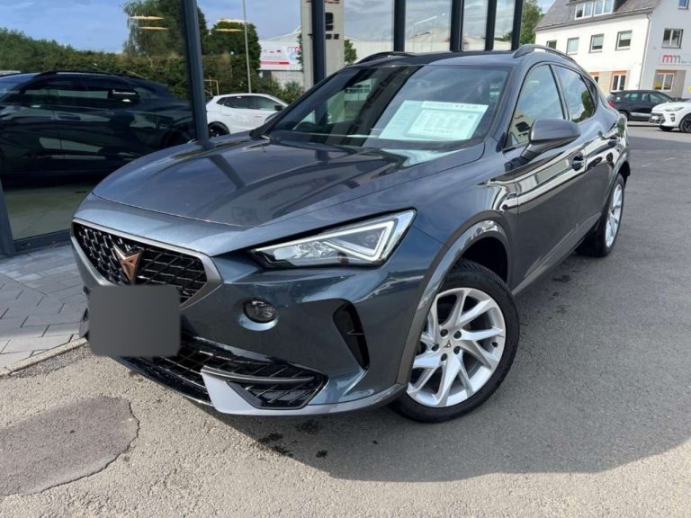 Cupra Formentor 1.5 TSI DSG - photo 12