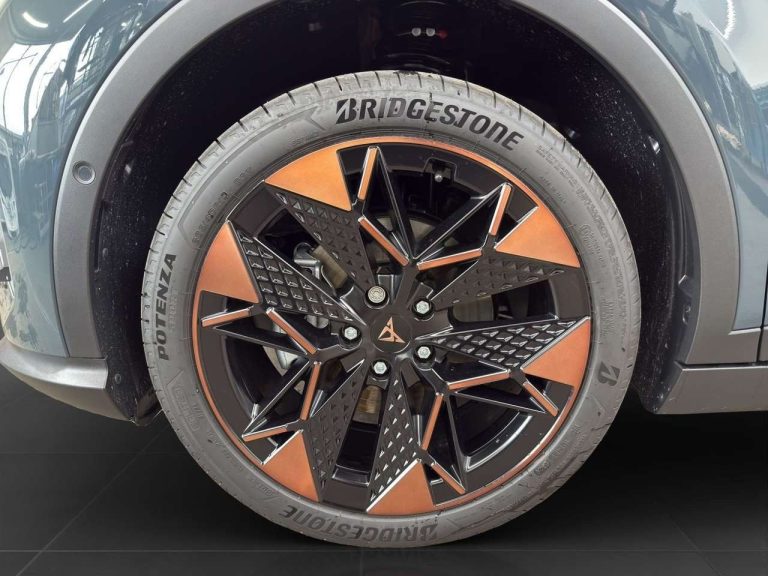 Cupra Raval Endurance Edition Dynamic Plus - photo 12