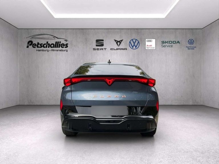 Cupra Tavascan Endurance - photo 5