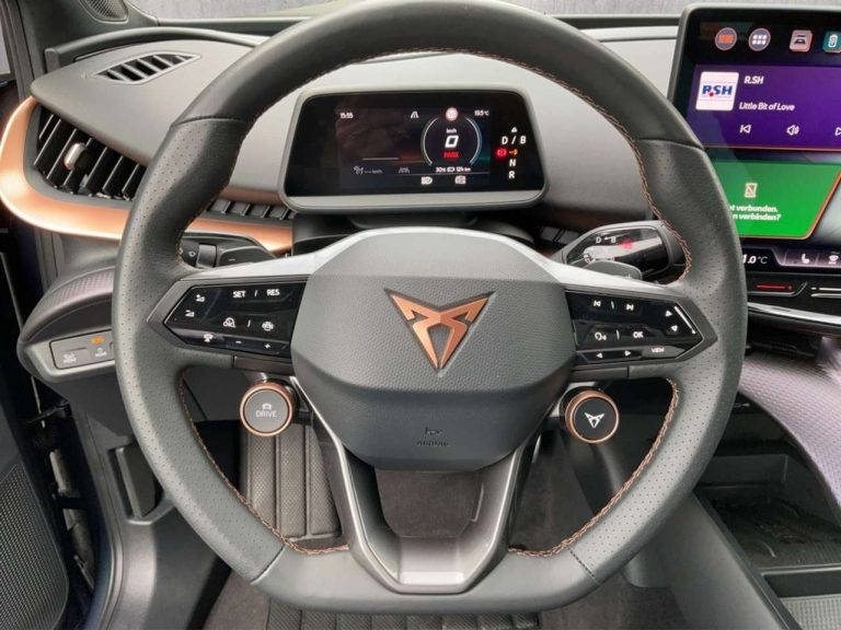 Cupra Tavascan Endurance - photo 9