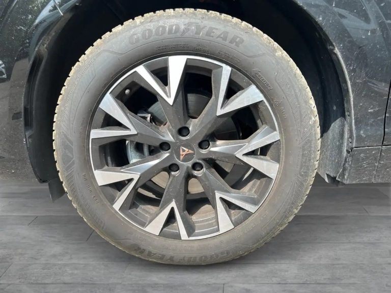 Cupra Terramar 1.5 eTSI - photo 5