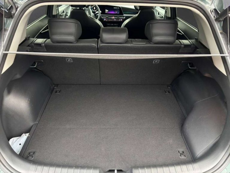Kia Niro 1.6 PHEV DCT Spirit - photo 11