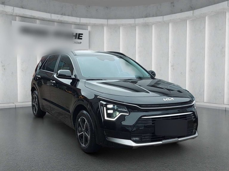 Kia Niro 1.6 GDI Hybrid Vision - photo 7