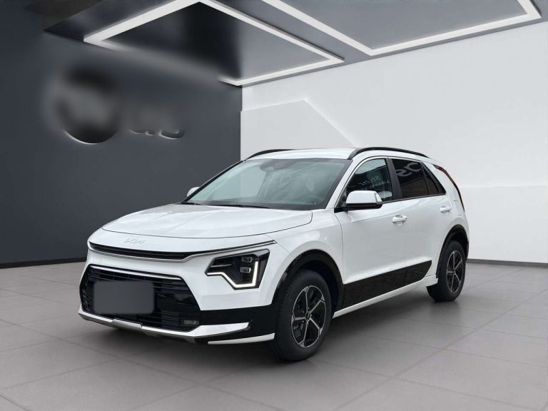Kia Niro 1.6 GDI Hybrid DCT Vision