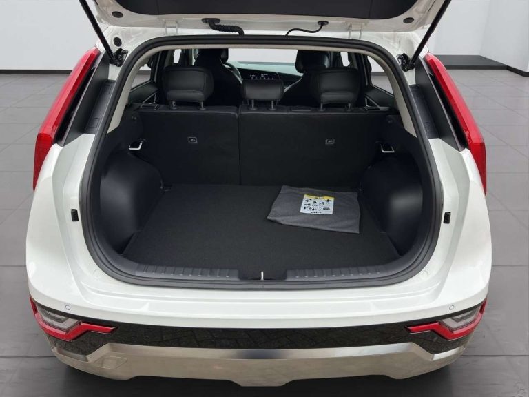 Kia Niro 1.6 GDI Hybrid DCT Vision - photo 16