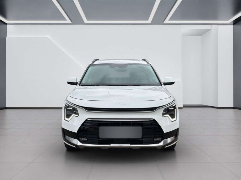 Kia Niro 1.6 GDI Hybrid DCT Vision - photo 7