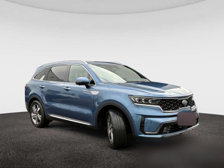 Kia Sorento 1.6 T-GDI Plug-in Hybrid AWD Platinum