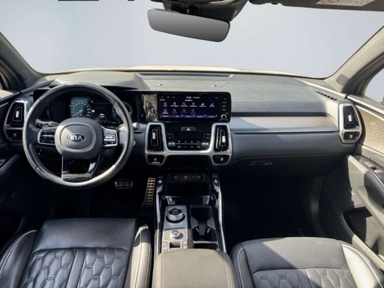 Kia Sorento 1.6 T-GDI PHEV AWD Platinum - photo 6