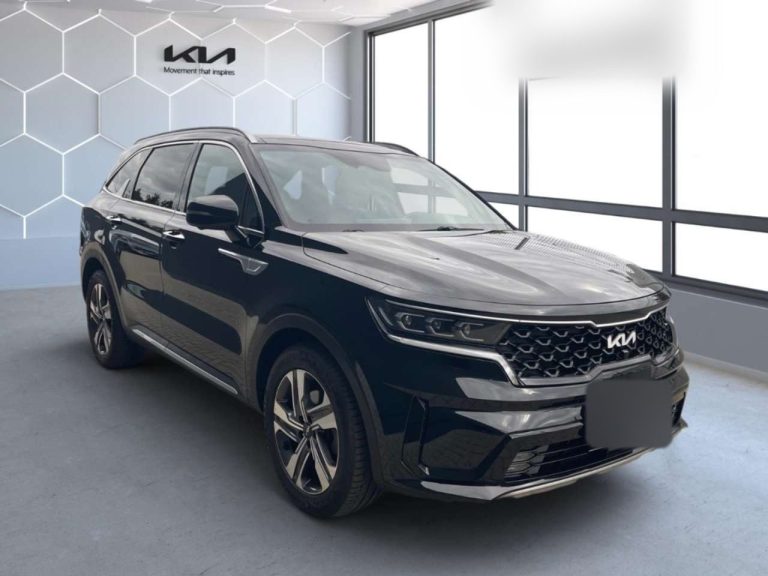 Kia Sorento 1.6 T-GDi Plug-in Hybride AWD Platinum - photo 3