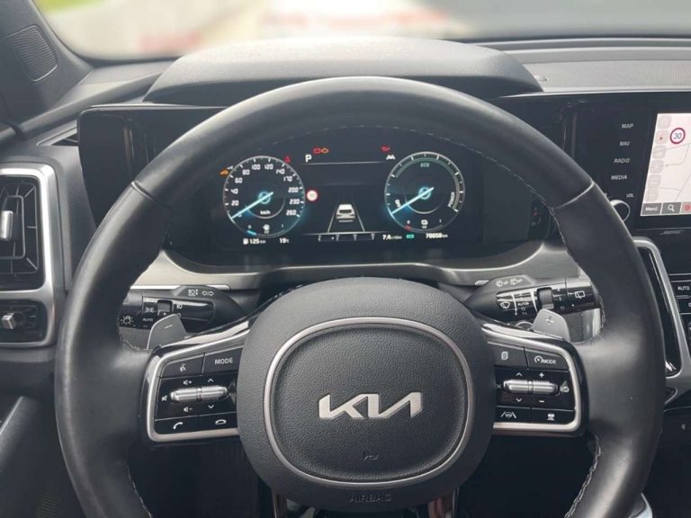Kia Sorento 1.6 T-GDi Plug-in Hybride AWD Platinum - photo 6