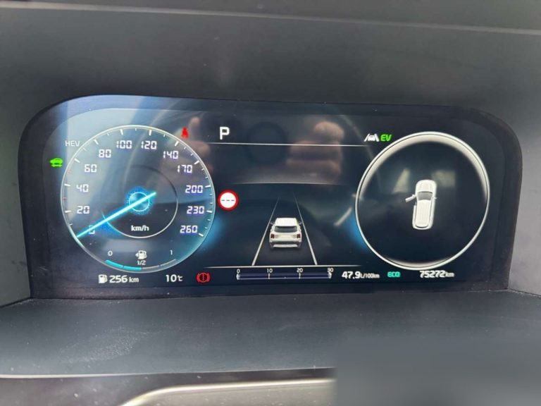 Kia Sorento 1.6 T-GDI Plug-in Hybrid AWD Vision - photo 9