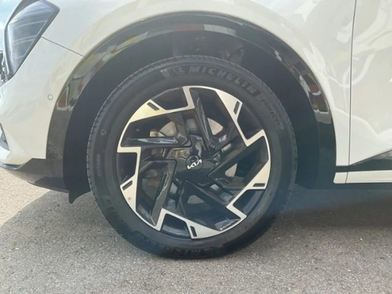 Kia Sportage 1.6 T-GDI Plug-in 4WD GT-Line - photo 11