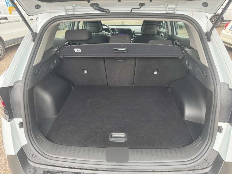 Kia Sportage 1.6 T-GDi Plug-in 4WD - photo 14