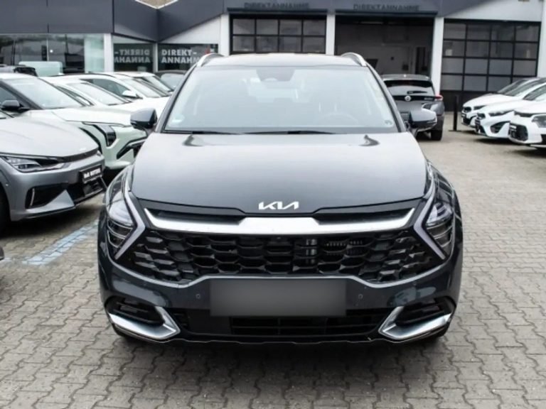 Kia Sportage 1.6 T-GDI Plug-in Hybrid 4WD - photo 18