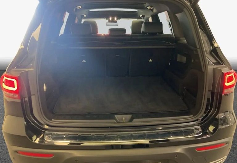Mercedes-Benz EQB 300 4MATIC - photo 8