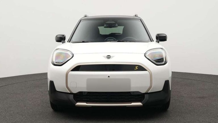 Mini Aceman Favoured Trim - photo 7