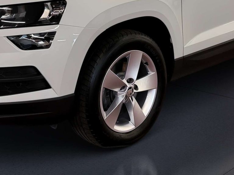 Skoda Karoq 2.0 TDI DSG 4×4 Ambition - photo 12
