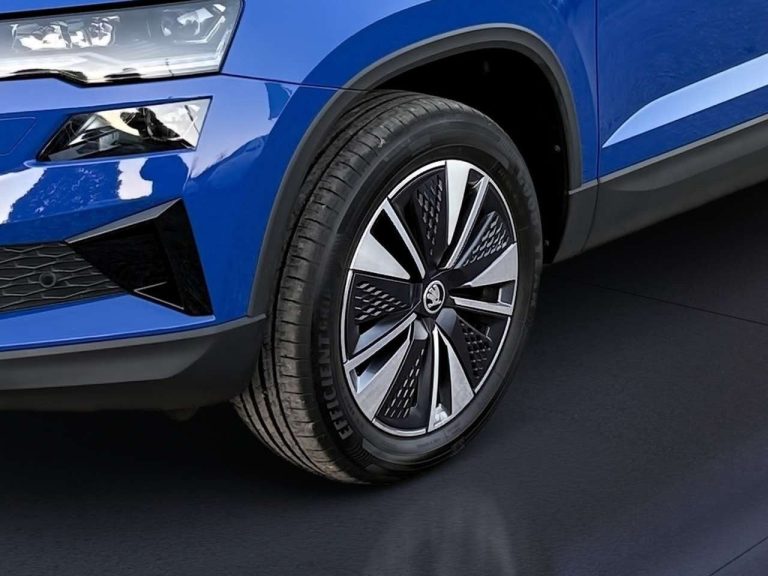 Skoda Karoq 1.5 TSI DSG Tour - photo 13