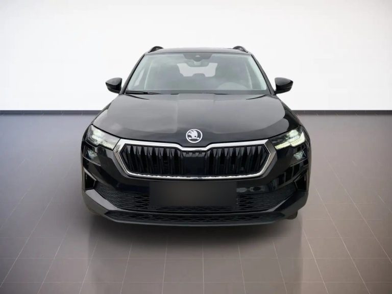 Skoda Karoq Selection 2.0 TDI DSG - photo 2