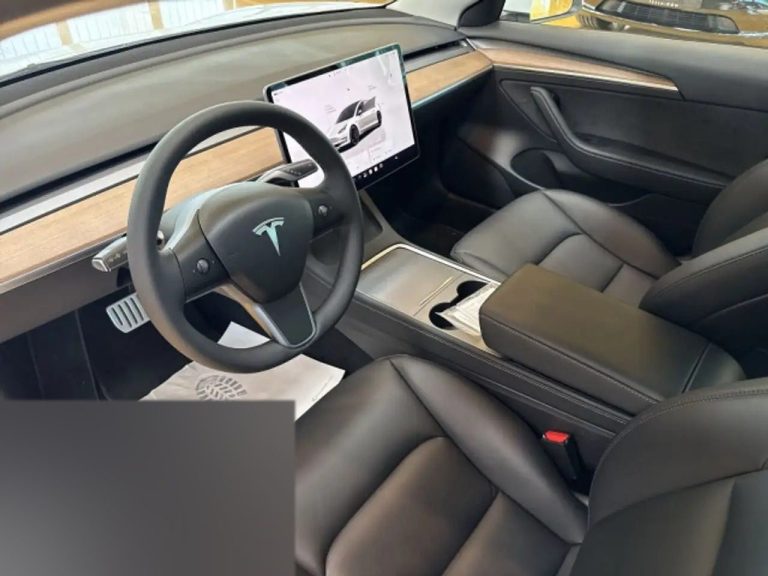 Tesla Model 3 Performance - photo 10
