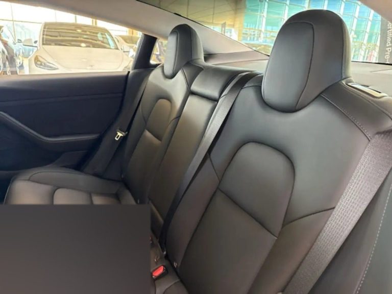 Tesla Model 3 Performance - photo 11
