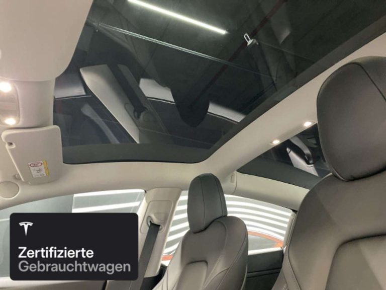 Tesla Model 3 Propulsion (Rear-Wheel Drive) - photo 12