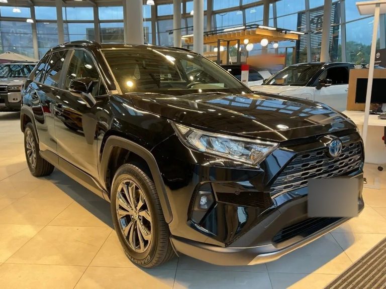 Toyota RAV4 2.5 Hybrid Team Deutschland - photo 3