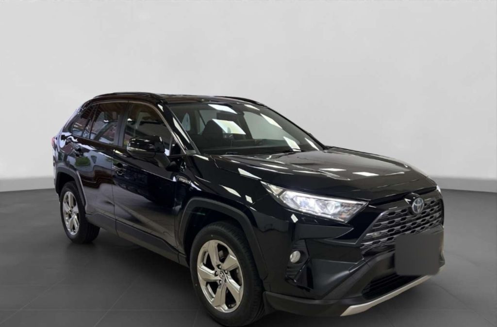 Toyota RAV4 2.5 Hybrid Team Deutschland