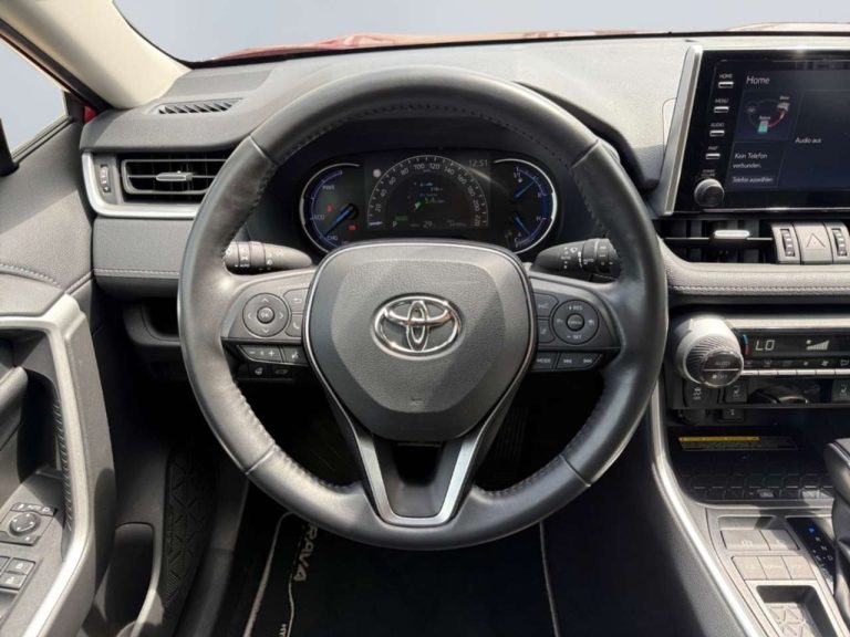 Toyota RAV4 2.5 Hybrid Team D - photo 11