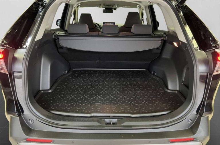 Toyota RAV4 2.5 Hybrid Team Deutschland - photo 12