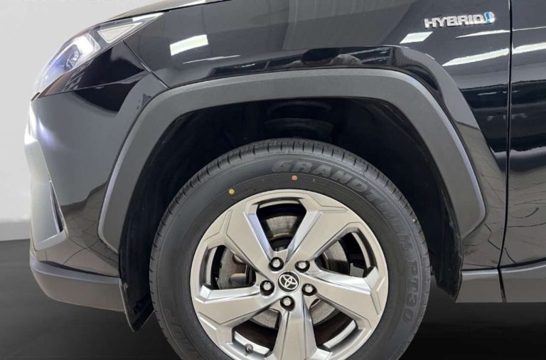 Toyota RAV4 2.5 Hybrid Team Deutschland - photo 13